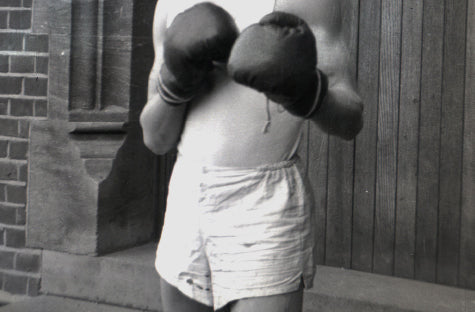 Woxer Womens Boxer Briefs Underwear, Classic Brief Palestine
